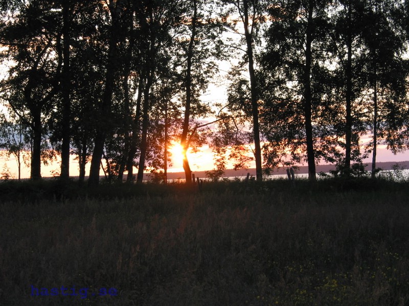 171-7104_IMG.JPG