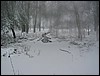 IMG_4820.JPG