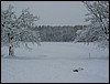 IMG_4821.JPG